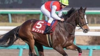 半姉は名牝ディアドラ 3歳のザンクトガレンが待望のデビュー戦だ