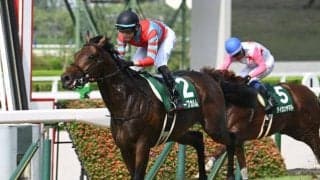 【中京記念想定馬・騎手】キープカルム、エコロヴァルツなど13頭