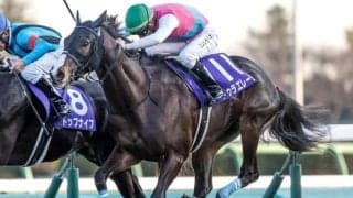 【エルムS予想】前走での大敗は危険信号!? 臨戦過程や前走の結果から割引が必要な人気馬とは