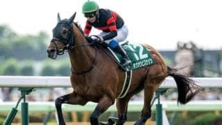 【札幌記念想定馬・騎手】ホウオウビスケッツ、ステレンボッシュなど18頭