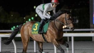 エルムSは道悪濃厚!? 横山父子のワンツーがあるぞ