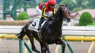 【浜名湖特別】半兄に日本ダービー馬と皐月賞馬 シャハザマーンがバデル騎手と特別初勝利なるか