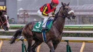 半姉はGI・2勝のチェルヴィニア アルレッキーノがセン馬となって再始動だ