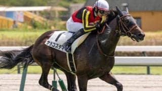 中京芝は母の父ディープインパクトが特注 サラコスティが狙い目だ