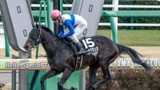 【今日の注目ポイント】札幌でエルムS 武豊騎手が4600勝にリーチ