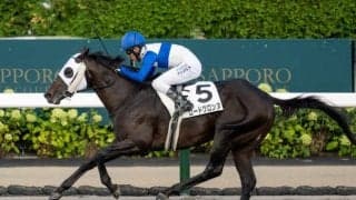 【エルムS予想】北海道開催で唯一のダート重賞 直線が短く追い込み一手では厳しい