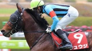 伯父は重賞2勝のシュウジ ニシノコハルビヨリがデビュー