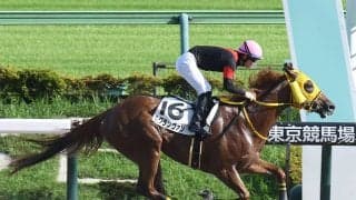 【競馬予想】高配当必至のレパードＳで狙える馬とは？　穴党記者推奨の好走条件に合致した２頭