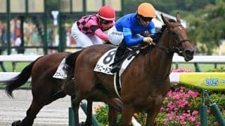 【中京4R新馬戦結果】ファインニードル産駒アイニードユーが人気に応えてV