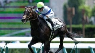 【札幌5R新馬戦結果】サートゥルナーリア産駒ヒシアムルーズが初陣飾る