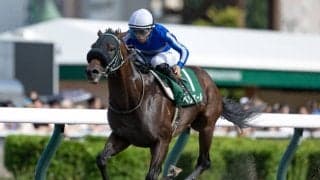 【エルムS結果】ペリエールが好位抜け出しで快勝 重賞2勝目