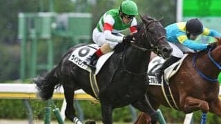 【レパードS予想】勝負所での位置取りが運命の分かれ道!? 気になる点が多く軽視したい人気馬