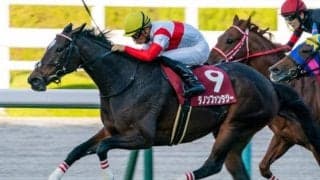 半姉は2歳女王のダノンファンタジー オルネーロがC.ルメール騎手で初陣だ