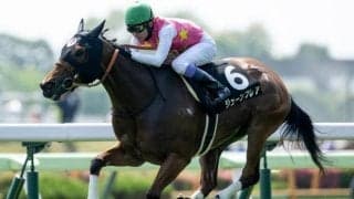 【AI予想・CBC賞】芝1200mでは連対率100％と安定感抜群！ 先行力を生かし待望の初タイトル奪取へ