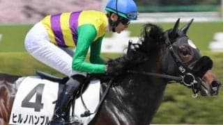 新潟ダートは道悪で圧倒的に前有利か レパードSは伏兵ヒルノハンブルクの激走注意