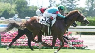 【新馬/新潟4R】G1・9勝アーモンドアイの仔 プロメサアルムンドがデビューV