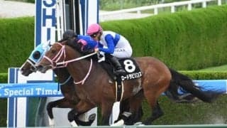 【今日の注目ポイント】新潟でレパードSと中京でCBC賞