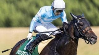 【CBC賞】大外枠は割り引きが必要か ディープインパクト系が好成績