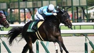 【CBC賞予想】サマースプリントシリーズ第4戦 難解な夏場のハンデ戦