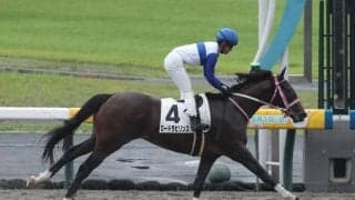 【レパードS予想】出世レースとして名高い一戦 3歳ダートの登竜門を制すのは