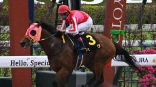 【レパードS予想】荒れるパターンに傾向がある?! 過去データから探るGIIIレパードS