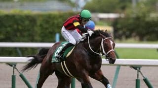 【競馬予想】CBC賞は100万馬券が狙える穴党垂涎の一戦　夏に強い伏兵２頭の大駆けに要注意
