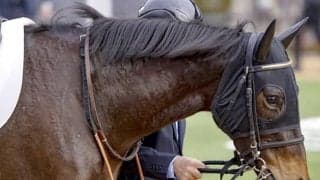 母はGI・3勝ストレイトガール ストレイトアスクが待望の2勝目なるか