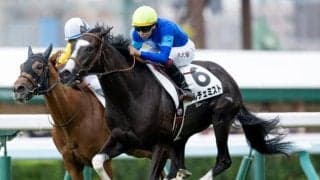 【札幌5R新馬戦結果】タリスマニック産駒ドルチェミストが初陣飾る