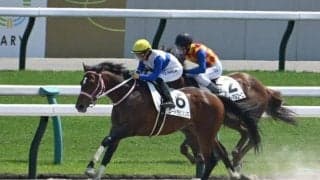 【レパードS・馬体重】ロードラビリンスは484kg(-4)、ヴィンセンシオは514kg(+8)