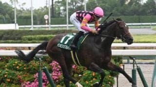 【CBC賞結果】インビンシブルパパが逃げ切り重賞初V 佐々木大輔騎手は2日連続の重賞勝利