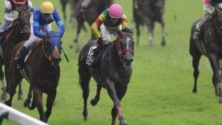 【驀進特別】海外転戦のエコロジークが快勝