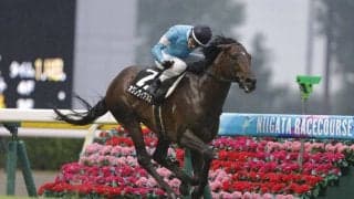 【佐渡S】オクタヴィアヌスがオープン入り