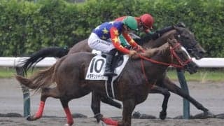 【新馬/新潟3R】ルヴァンスレーヴ産駒 マイネルミストラルがデビューV