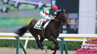 【新馬/新潟2R】ダノンファンタジー半弟 オルネーロがデビューV