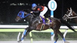 【TCK】ディクテオン、韓国G3コリアカップ招待受諾