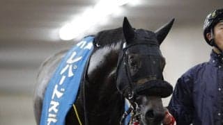 【レパードS】松山「力を証明出来てホッとしている」ドンインザムードが重賞初制覇