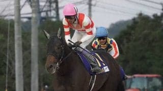 【クラスターC】武豊チカッパは4枠6番