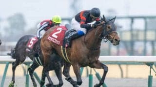 【札幌記念登録馬】ホウオウビスケッツなど18頭