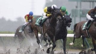 WIN5は162万円超の払戻し…レパードSはドンインザムードが快勝