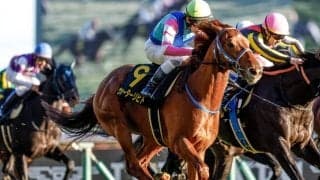 【中京記念見どころ】決め手光るウォーターリヒトの切れ味に注目