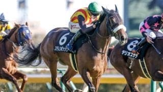 【札幌記念見どころ】実績上位ステレンボッシュの復活に期待