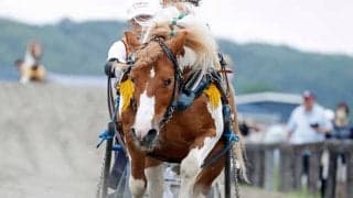 日高町で開催された「第5回ポニー輓馬大会」 計40頭がレースを行い賑わいみせる