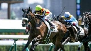 【札幌記念想定騎手】ホウオウビスケッツは岩田康誠騎手、ステレンボッシュは池添謙一騎手