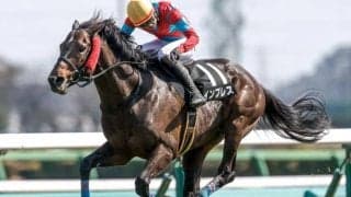 【新潟JS想定騎手】インプレスは小牧加矢太騎手、サイードは小坂忠士騎手