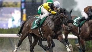 【レパードS】売上は50億6641万5100円で昨年より約2億円減少