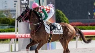 【大井・黒潮盃枠順】4連勝中のマウンテンローレルは5枠5番