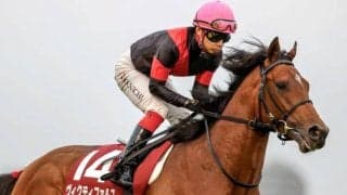【先週のJRA抹消馬】芝ダート双方で活躍したヴィクティファルス、芝1800mで4勝のグランスラムアスクなど