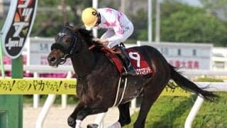 【門別・北海道SC枠順】4連勝中のマテンロウコマンドは2枠2番 出走8頭の少頭数