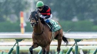 【AI予想・札幌記念】好メンバーが集った伝統の一戦！ 人工知能は中距離重賞で実績残す3頭に高評価