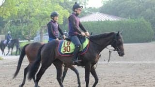 母は豪G1勝ち馬 モンローウォークが土曜新潟で初陣/関東馬メイクデビュー情報